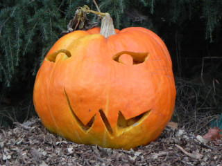 Usual, Nipomo Pumpkin Patch best carving idea
